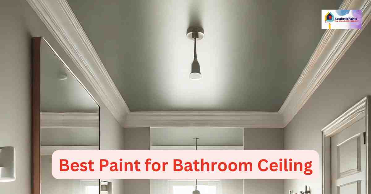 Best Paint for Bathroom Ceiling
