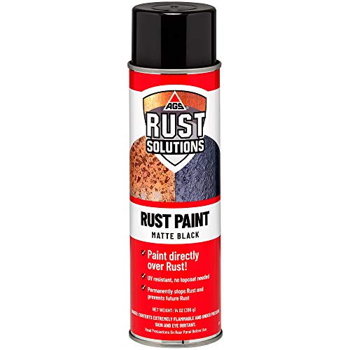 Best Paint for Long-Lasting Durability