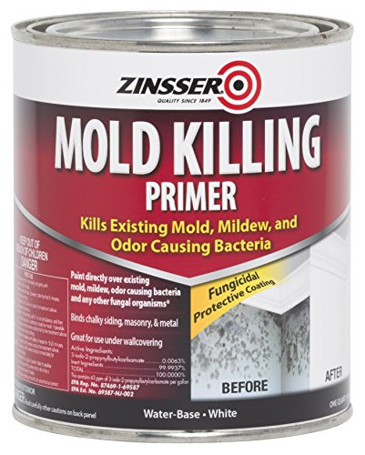 Best Waterproof Paint for Drywall