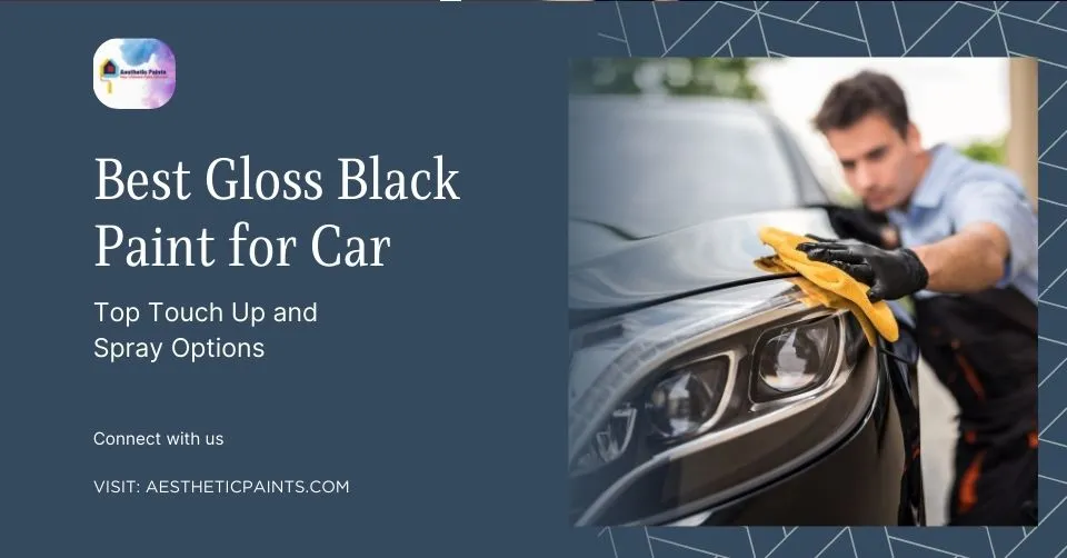 Best Gloss Black Paint for Car