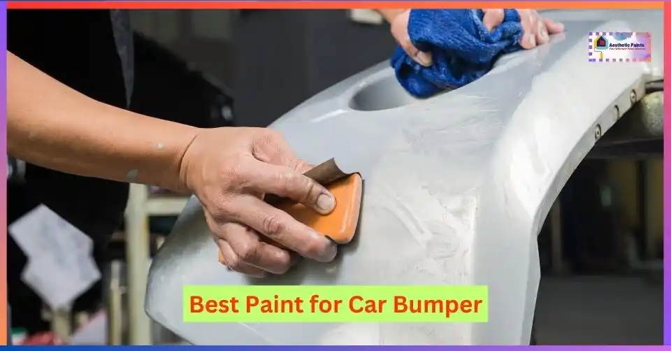 Best Paint for Car Bumper