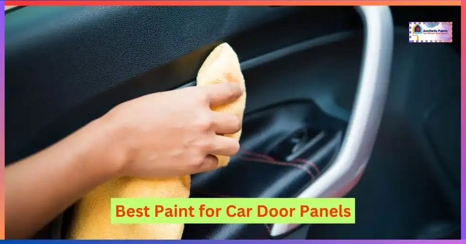 Best Paint for Car Door Panels