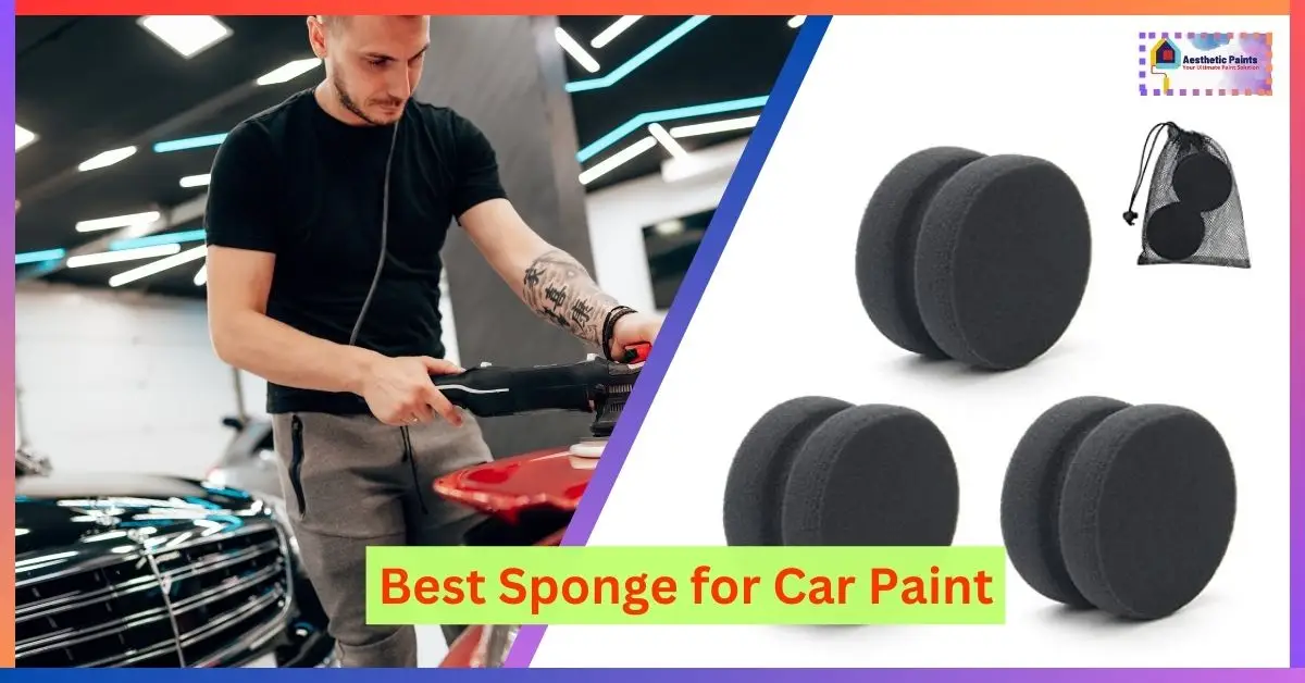 Best Sponge for Car Paint