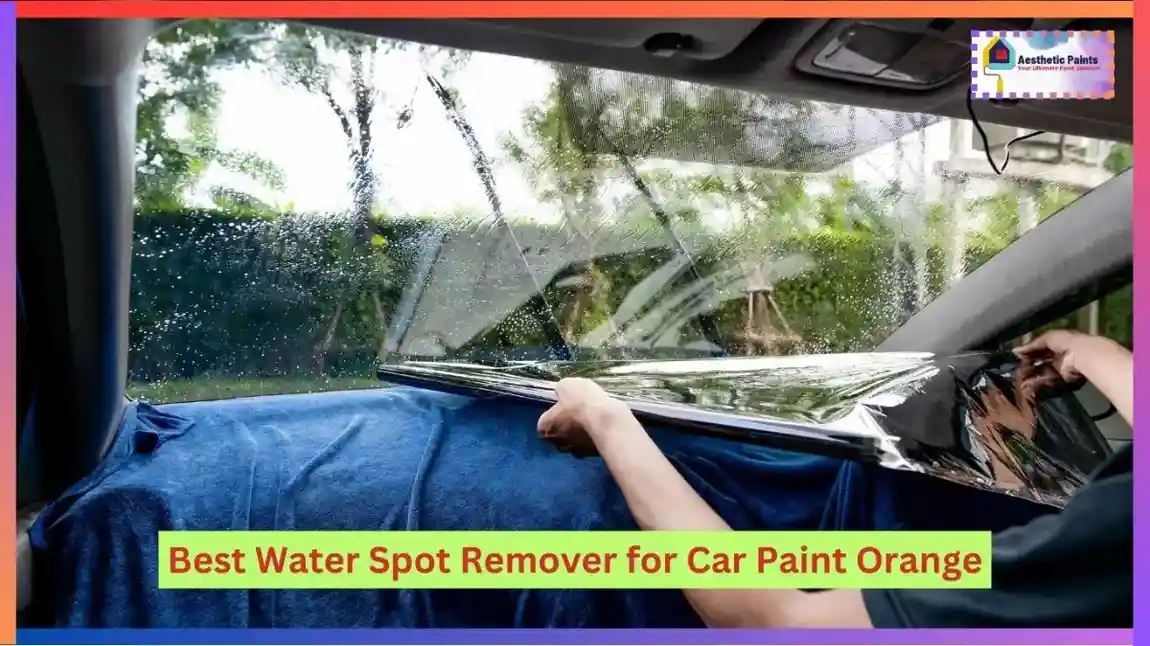 Best Water Spot Remover for Car Paint