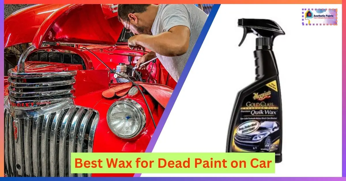 Best Wax for Dead Paint on Car
