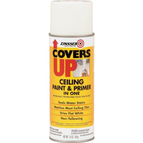 Best Paint Finish for Porch Ceiling Cariding