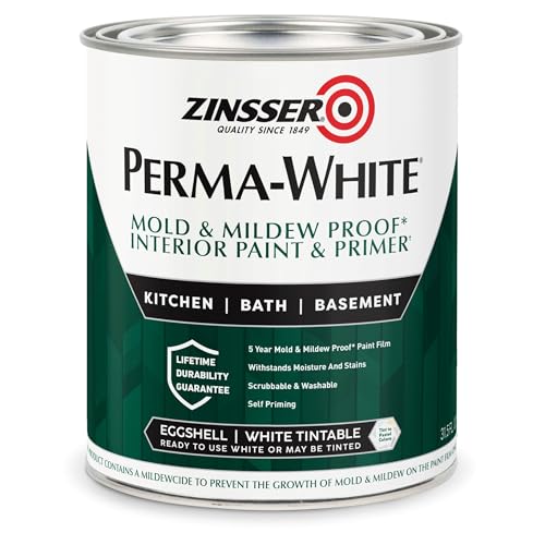 Best Paint for Preventing Mold